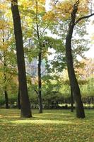 Park with trees and in the background Church of Savior on Spilled Blood at background, Saint Petersburg, Russia photo