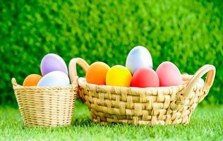 Easter eggs in the basket on green grass photo