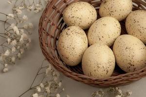 Pastel Easter eggs background. Spring greating card. Easter eggs in basket photo