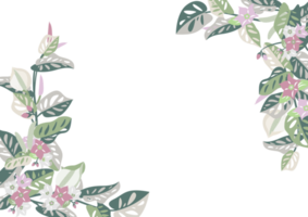 plantkunde wijnoogst bloemen kader geïsoleerd Aan transparantie achtergrond png