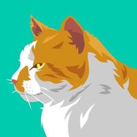 gato cara lado ver de cerca retrato. adecuado para avatar, web, usuario perfil, imprimir, pegatina, póster, y más. vector ilustración