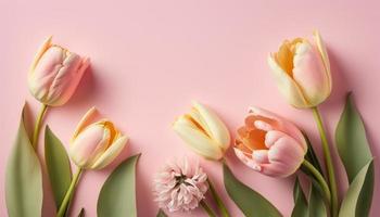 Spring tulip flowers on pink background top view in flat lay style. photo