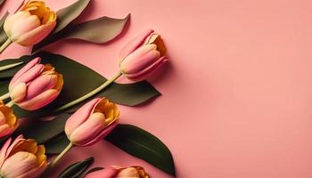 Spring tulip flowers on pink background top view in flat lay style. photo