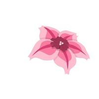 Colorful abstract flower icon. Vector illustration isolated on white background.