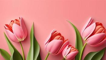 Spring tulip flowers on pink background top view in flat lay style. photo