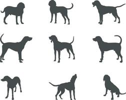 American english coonhound dog silhouettes, American english coonhound silhouette, American english coonhound SVG. American english coonhound dog vector