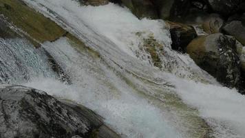 vista panorámica de la cascada en el bosque foto