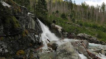 Scenic view of waterfall in forest photo