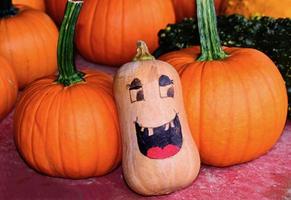 Pumpkins surrounding gourd with smiling face photo