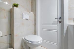 toilet and detail of a corner shower bidet with wall mount shower attachment photo