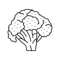 brócoli comida línea icono vector ilustración