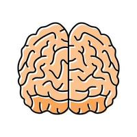 brain human color icon vector illustration