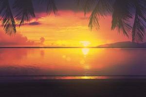 tropical palm tree and sea sunset photo