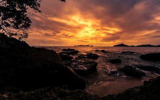 Dramatic sunset at beach with a tree and rocks photo