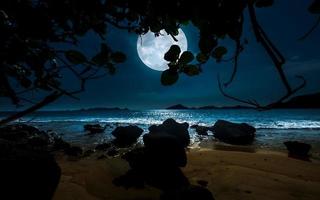 Beach night panorama with full moon. Tranquil night at seaside photo