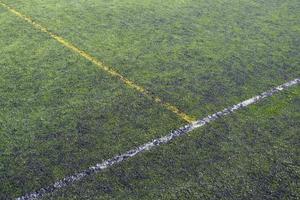 Soccer stadium grass background photo