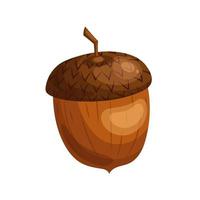 acorn brown seed cartoon vector illustration