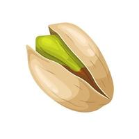 pistachio organic food cartoon vector illustration