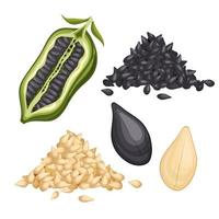 sesame seed food set cartoon vector illustration