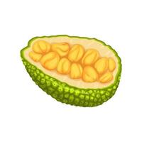 jackfruit slice cut cartoon vector illustration