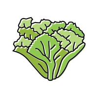 escarole salad food color icon vector illustration
