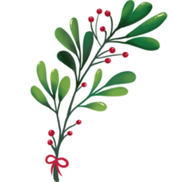 Green mistletoe with ribbon hand drawn png