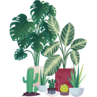 Collection of potted plants, succulents and house plants hand drawn png
