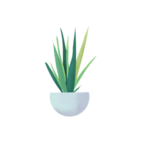 planta en un blanco maceta ilustración png