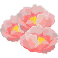 Blooming flower illustration png