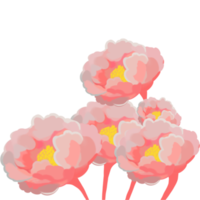 Flower petal illustration png