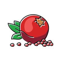 pomegranate whole grain leaf color icon vector illustration