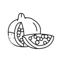 slice cut pomegranate line icon vector illustration