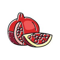 pomegranate whole slice red cut color icon vector illustration