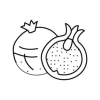 whole cut pomegranate line icon vector illustration