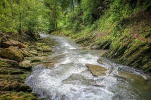 A stream surrounded by green trees and stones covered with moss photo