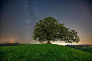 un colina con un árbol en el cielo usted lata ver el lechoso camino foto