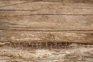 Old wood texture with natural pattern for background. Close up image. photo