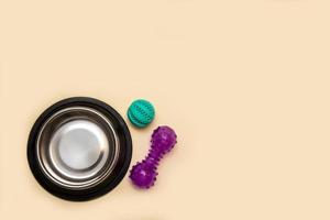 dog bowl, ball, toy on a beige background with copy space, pet photo