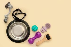 dog supplies, toys, bowl, wool brush on a beige background with copy space, top view, pets