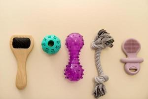 dog accessories wool brush, toys in the form of a bone, a ball laid out in a row on a beige background, a pet photo