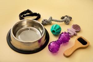 dog bowl, toys, wool brush, leash on a beige background, pets photo