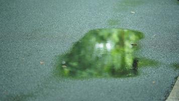 The little water pool on the road  in the city after the rain photo