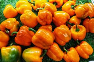 pile of fresh yellow bell pepper with green background photo