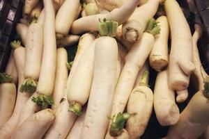 Pile of fresh radish the long white root vegetable,organic photo