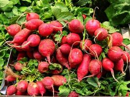 Round red radish with tops,top view,bunch of fresh vegetables photo