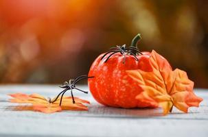 Halloween background decorated holidays festive concept - spider and leaves autumn pumpkin halloween decorations for party accessories object on wooden nature