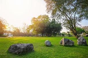 Natural green grass field in sunrise in the park with tree sunshine on the grass green environment public park natural, Rock stone grass on the field sunrise or sunset landscape in the summer time