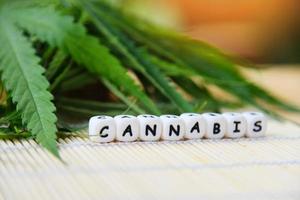 canabis hojas marijuana planta en de madera antecedentes - cáñamo hoja para extraer médico cuidado de la salud natural foto