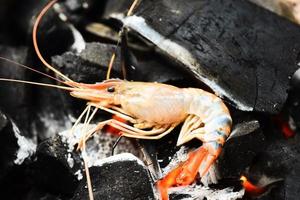 shrimp grilled bbq seafood on charcoal - prawns shrimps cooked burnt , selective focus photo