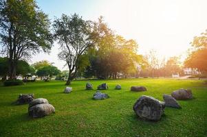 Rock stone grass on the field sunrise or sunset landscape in the summer time , Natural green grass field in sunrise in the park with tree sunshine on the grass green environment public park natural photo